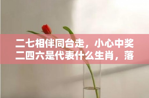 二七相伴同台走，小心中奖二四六是代表什么生肖，落实精选解释