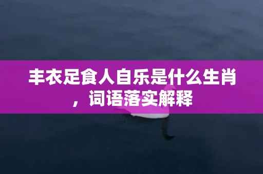 丰衣足食人自乐是什么生肖，词语落实解释