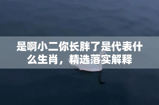 是啊小二你长胖了是代表什么生肖，精选落实解释