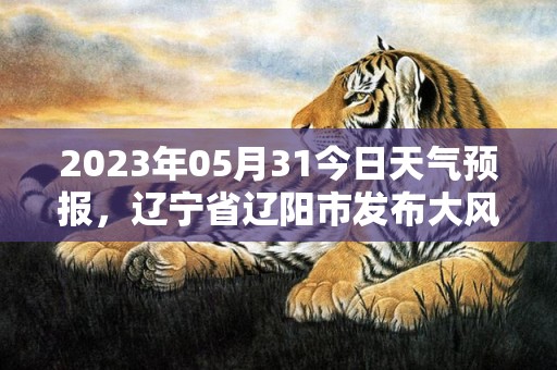 2023年05月31今日天气预报，辽宁省辽阳市发布大风蓝色预警