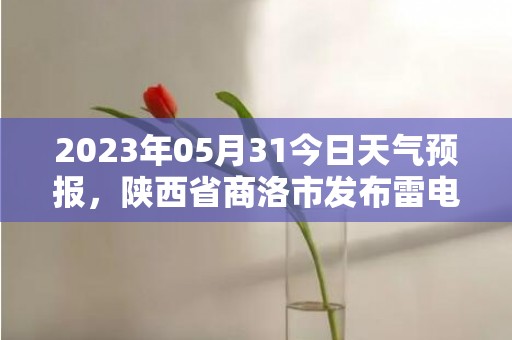 2023年05月31今日天气预报，陕西省商洛市发布雷电黄色预警