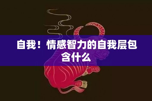 自我！情感智力的自我层包含什么