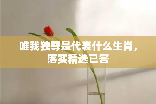 唯我独尊是代表什么生肖，落实精选已答