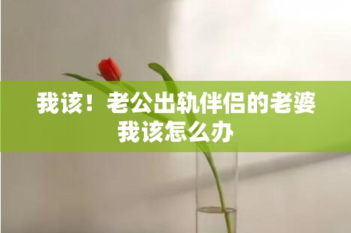 我该！老公出轨伴侣的老婆我该怎么办