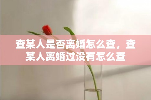 查某人是否离婚怎么查，查某人离婚过没有怎么查