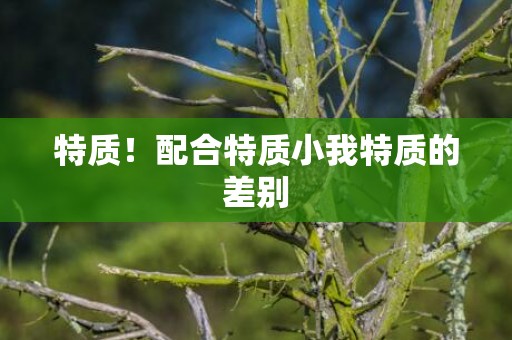 特质！配合特质小我特质的差别