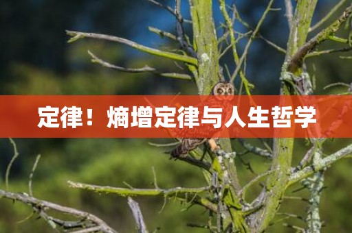 定律！熵增定律与人生哲学