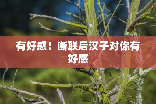 有好感！断联后汉子对你有好感