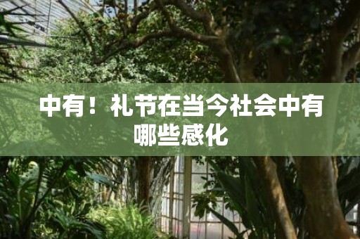 中有！礼节在当今社会中有哪些感化