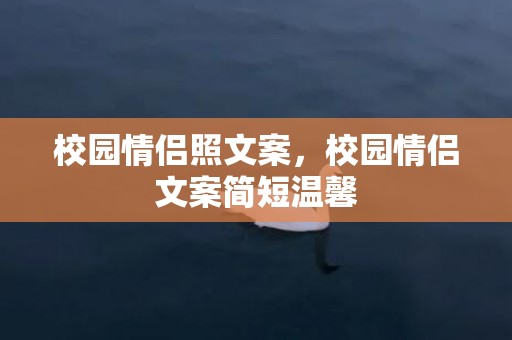 校园情侣照文案，校园情侣文案简短温馨