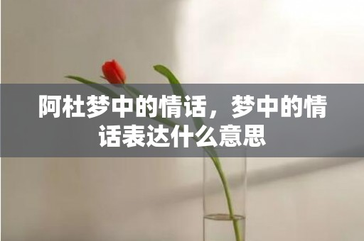 阿杜梦中的情话，梦中的情话表达什么意思