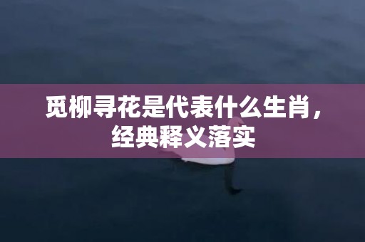 觅柳寻花是代表什么生肖，经典释义落实