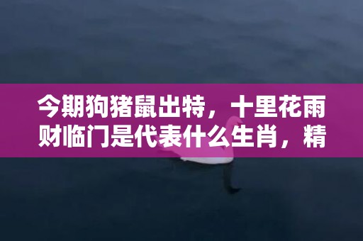 今期狗猪鼠出特，十里花雨财临门是代表什么生肖，精选落实解释