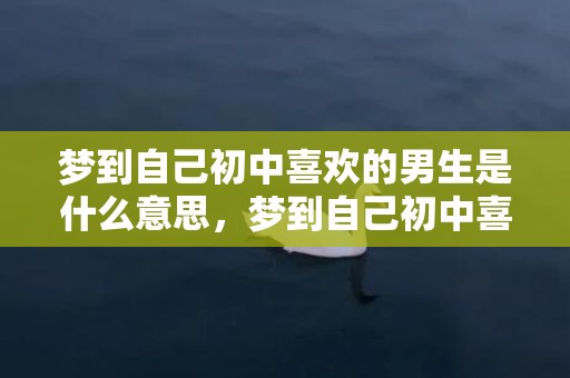 梦到自己初中喜欢的男生是什么意思，梦到自己初中喜欢的人