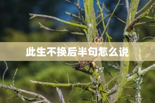 此生不换后半句怎么说