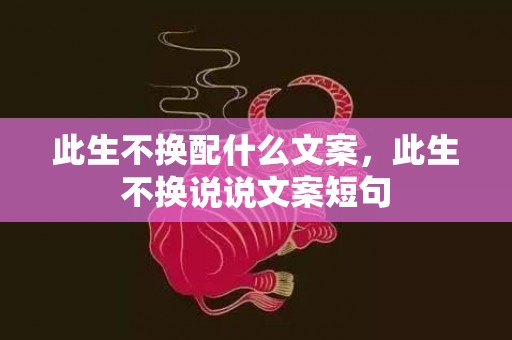 此生不换配什么文案，此生不换说说文案短句