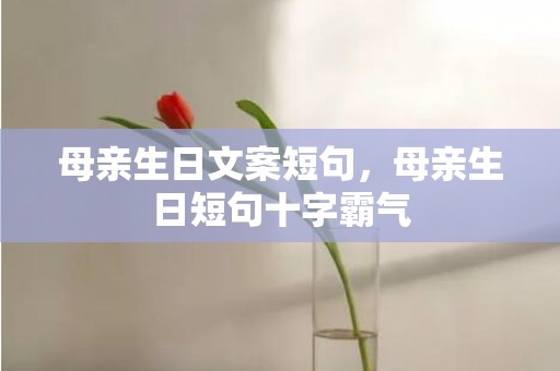 母亲生日文案短句，母亲生日短句十字霸气