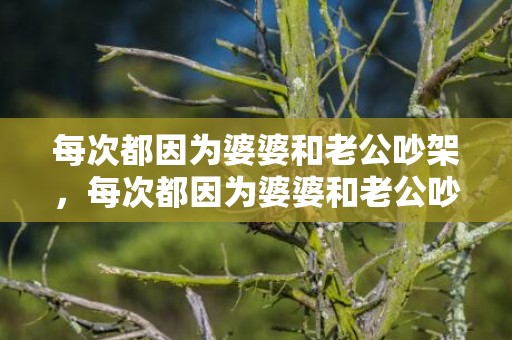 每次都因为婆婆和老公吵架，每次都因为婆婆和老公吵架