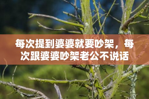 每次提到婆婆就要吵架，每次跟婆婆吵架老公不说话