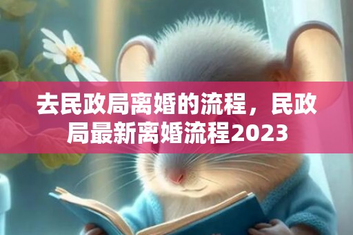 去民政局离婚的流程，民政局最新离婚流程2023