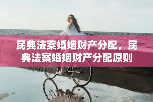 民典法案婚姻财产分配，民典法案婚姻财产分配原则