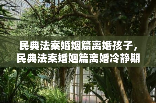 民典法案婚姻篇离婚孩子，民典法案婚姻篇离婚冷静期