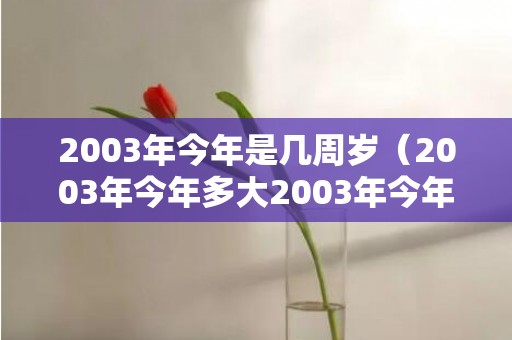 2003年今年是几周岁（2003年今年多大2003年今年多大周岁）