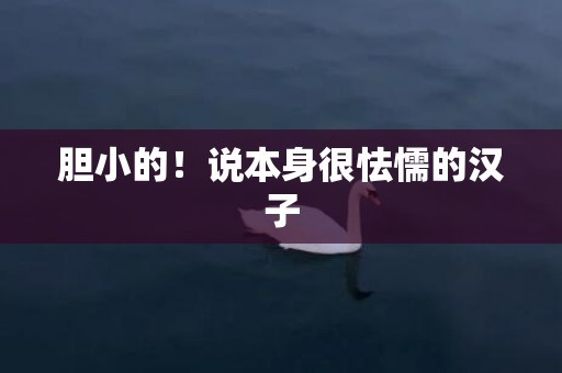 胆小的！说本身很怯懦的汉子