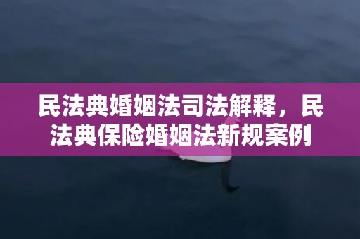 民法典婚姻法司法解释，民法典保险婚姻法新规案例