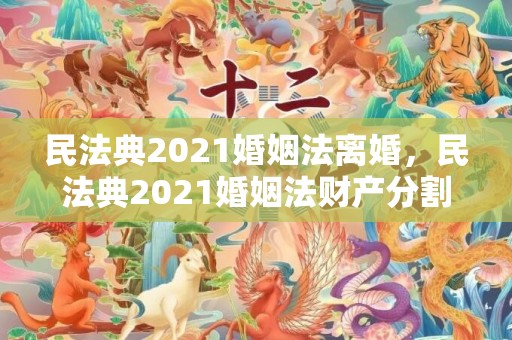 民法典2021婚姻法离婚，民法典2021婚姻法财产分割