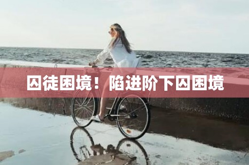 囚徒困境！陷进阶下囚困境