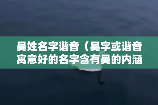 吴姓名字谐音（吴字或谐音寓意好的名字含有吴的内涵名字）