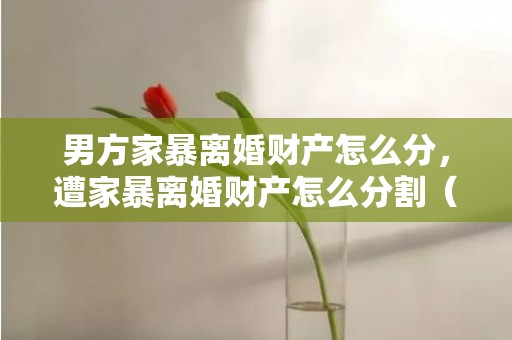 男方家暴离婚财产怎么分，遭家暴离婚财产怎么分割（被家暴离婚财产怎么分）