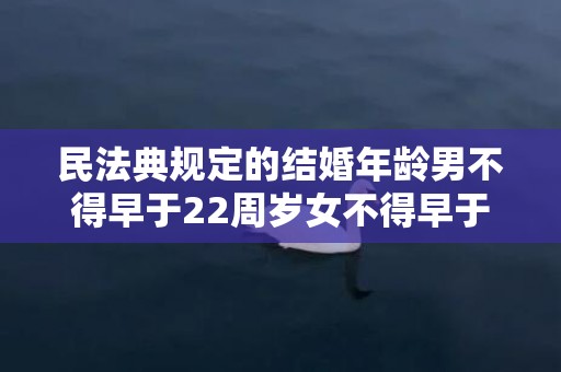 民法典规定的结婚年龄男不得早于22周岁女不得早于，民法典规定的结婚年龄