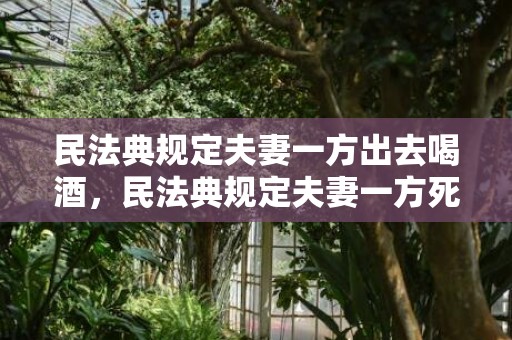 民法典规定夫妻一方出去喝酒，民法典规定夫妻一方死亡