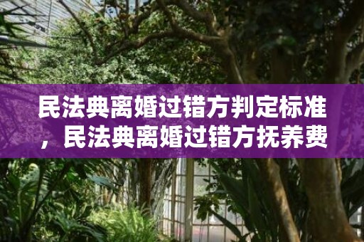 民法典离婚过错方判定标准，民法典离婚过错方抚养费