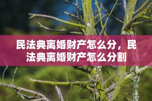 民法典离婚财产怎么分，民法典离婚财产怎么分割