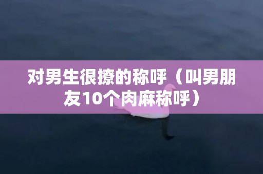 对男生很撩的称呼（叫男朋友10个肉麻称呼）