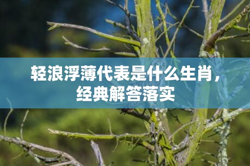 轻浪浮薄代表是什么生肖，经典解答落实