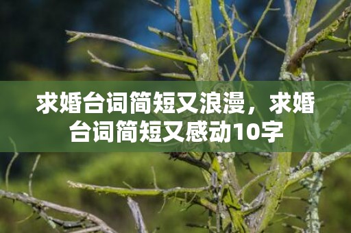 求婚台词简短又浪漫，求婚台词简短又感动10字