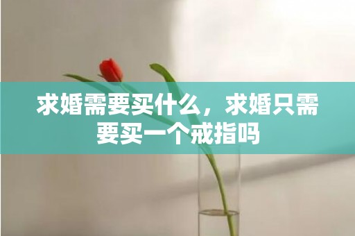 求婚需要买什么，求婚只需要买一个戒指吗