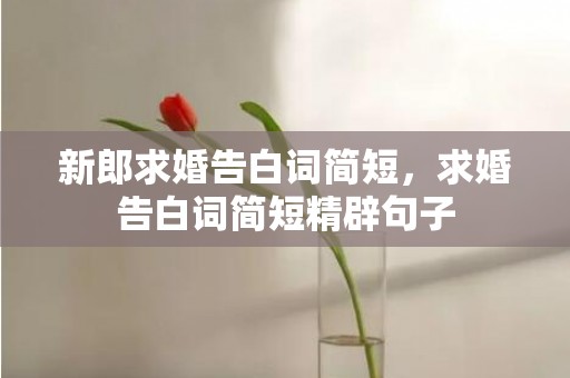 新郎求婚告白词简短，求婚告白词简短精辟句子