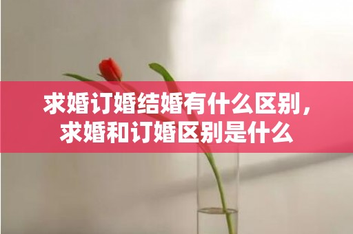 求婚订婚结婚有什么区别，求婚和订婚区别是什么