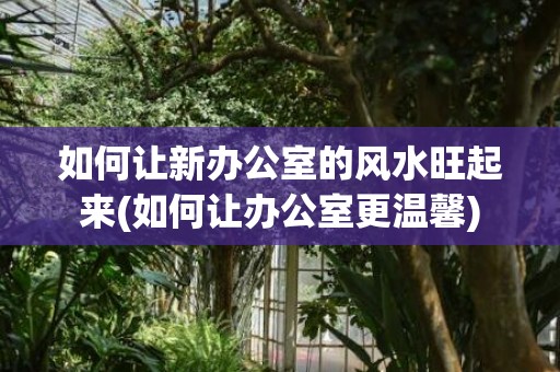 如何让新办公室的风水旺起来(如何让办公室更温馨)