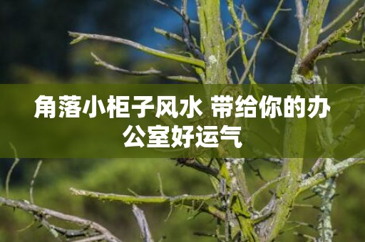 角落小柜子风水 带给你的办公室好运气