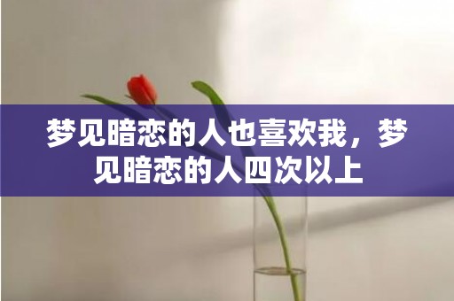 梦见暗恋的人也喜欢我，梦见暗恋的人四次以上