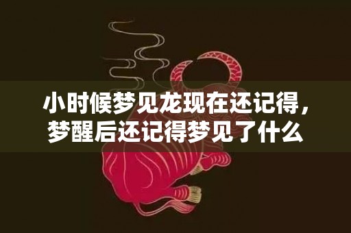 小时候梦见龙现在还记得，梦醒后还记得梦见了什么