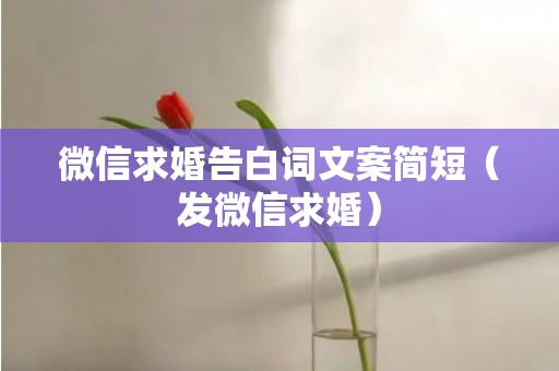 微信求婚告白词文案简短（发微信求婚）