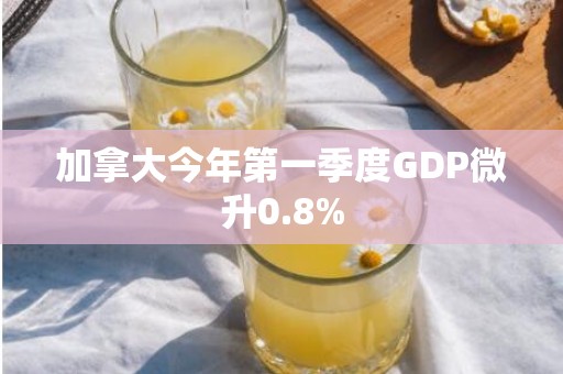 加拿大今年第一季度GDP微升0.8%