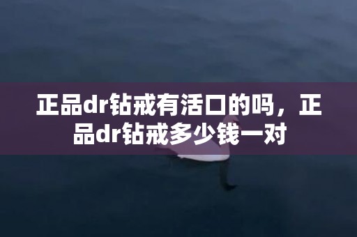 正品dr钻戒有活口的吗，正品dr钻戒多少钱一对